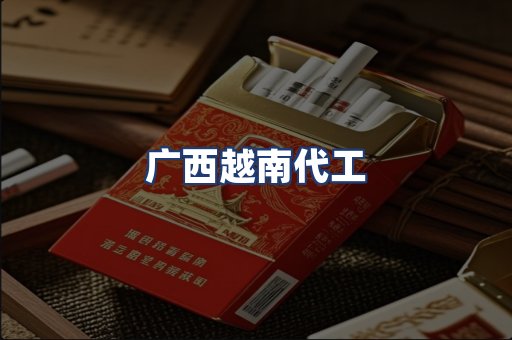 广西越南代工